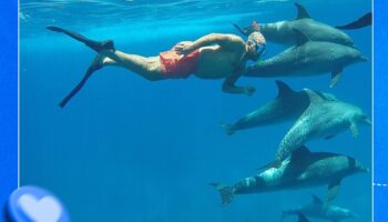 Dolphin House & Water Sports with snorkeling