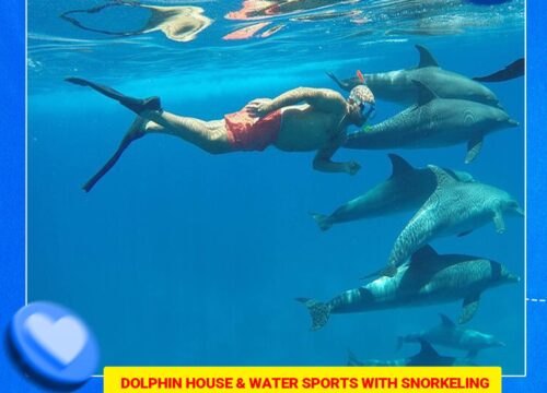 Dolphin House & Water Sports with snorkeling