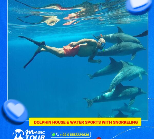 Dolphin House & Water Sports with snorkeling