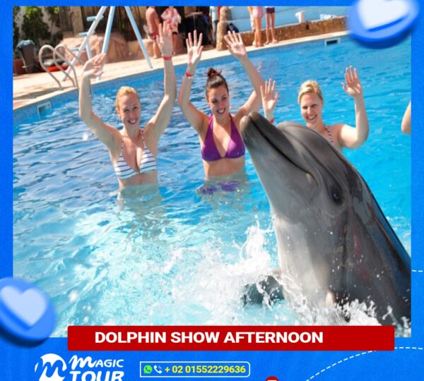 Dolphin Show Afternoon