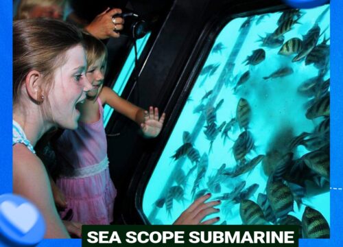 Sea Scope Submarine