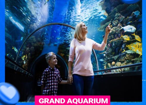 Grand Aquarium Hurghada