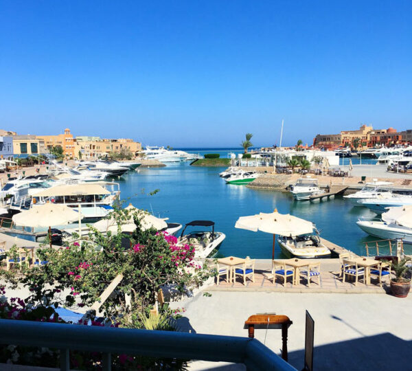 VIP El Gouna Sea Trip