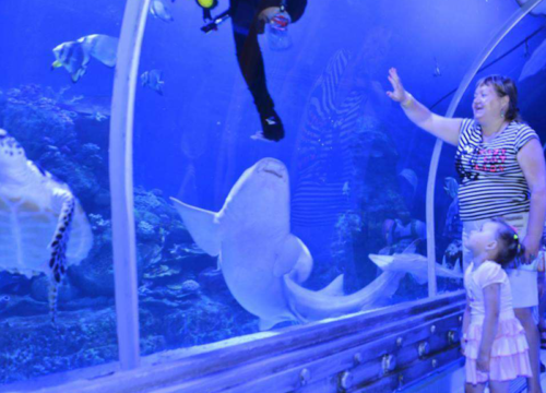 Grand Aquarium in Hurghada