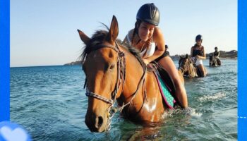 Horseback Riding With Swimming