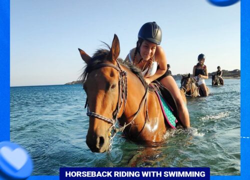 Horseback Riding With Swimming