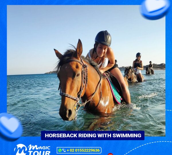 Horseback Riding With Swimming