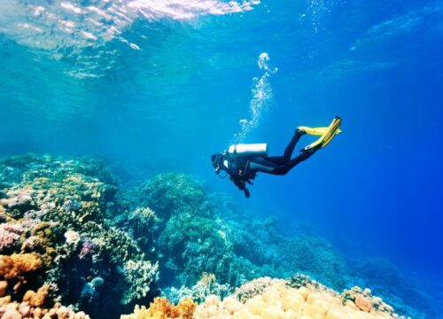 Diving In Hurghada