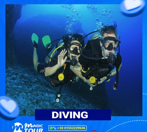 Full Day Diving Trip in Hurghada (Explore Red Sea secret)