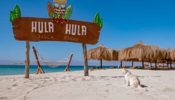 Hula Hula Island Sea Trip with Water Sports HURGHADA